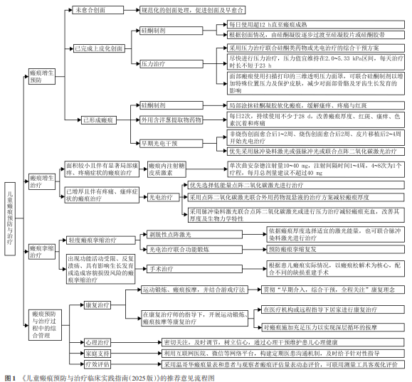 《儿童瘢痕预防与治疗临床实践指南（2025版）》发布