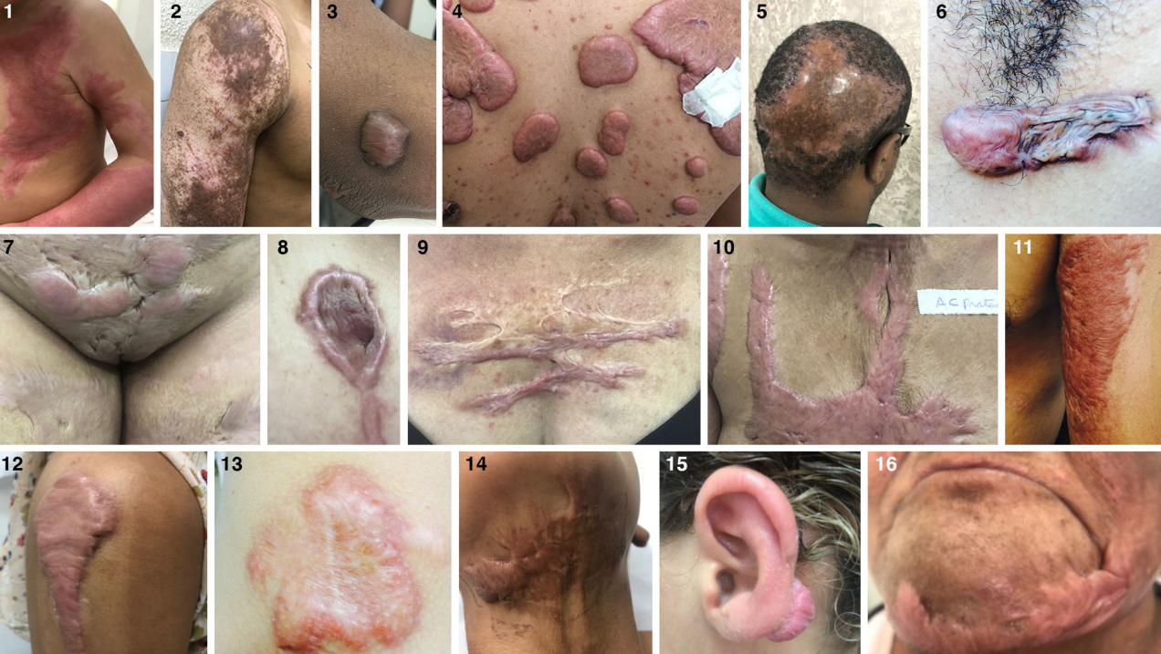 1722923011706270.png image.png